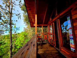 Cabaña en el Bosque de San José del Pacífico 3