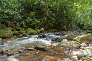 Toucan River Retreat - River Access, AC & Jacuzzi