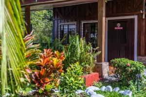 Toucan River Retreat - River Access, AC & Jacuzzi