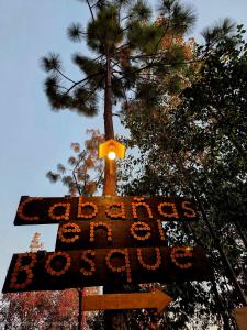 Cabaña en el Bosque de San José del Pacífico 3