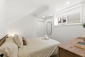 New Modern 1BR Basement Near Downtown FREE Parking