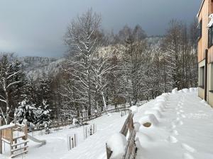 Chalet moderne avec spa, idéal pour 12 personnes - FR-1-744-54