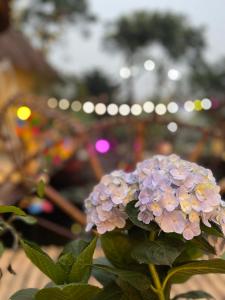 Romantic - second floor - large balcony - bathtub