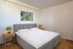 Entre Provence and Drôme, Pres de Vaison-la-Romaine, 4BR 4BA