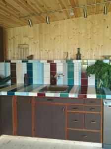 Handbuilt Cottage In Untouched Forest By Langø