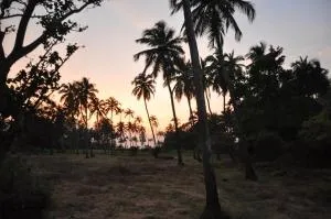 Jardin d'Ulysse & Hard Rock - Morjim