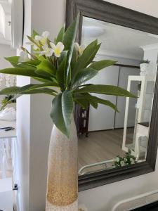 Sunbird Beach Resort - Main Beach