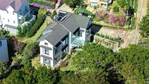 Hamilton Villa Da Lat - Pine Tree n Valley View