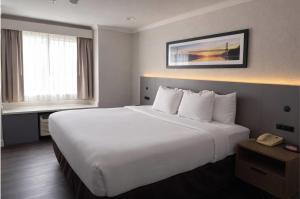 Econo Lodge Inn & Suites Santa Rosa South