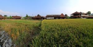 Alamanda Family Villas, Pool & Local Tours