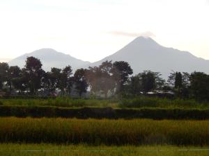 Alamanda Family Villas, Pool & Local Tours