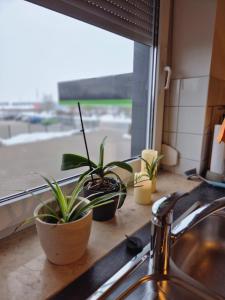 Steffis Apartment