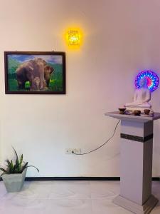 Bright Star Villa