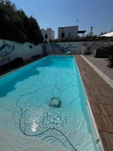 Balena blu home luxury