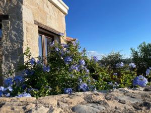 Alghero Vacation Rentals Pedra Mea img75