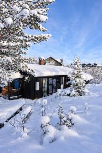 6 Bed traditional mountain cabin in Geilo - close to skiing and hiking
