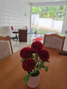 Golden guest house