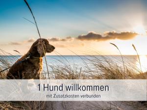 Huus Binnensee - Erdgeschoss-Wohnung mit Garten & Seeblick - Wintergarten & Terrasse - hundefreundlich - ruhige Lage - Südstrand 5 Min mit Rad
