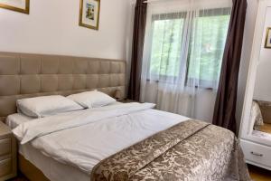 Apartament Stanca Piticului