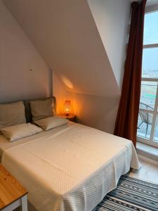 Mieszkanie Stare Miasto-Rynek 500 m