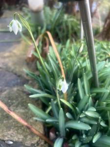 Casa Rural Pirineu Nevà