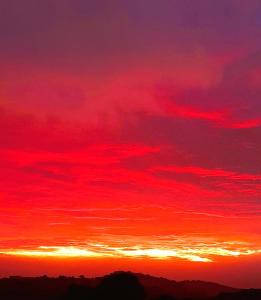 Oleandro - Appartamento Bilocale Badesi img5