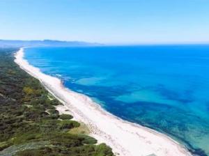 Oleandro - Appartamento Bilocale Badesi img12