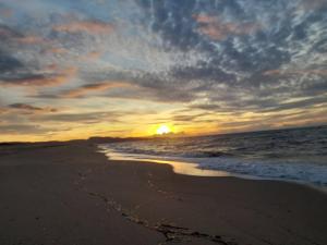 Oleandro - Appartamento Bilocale Badesi img20