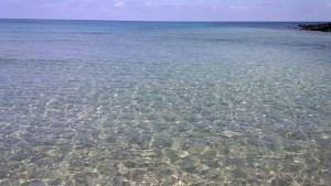 Oleandro - Appartamento Bilocale Badesi img25