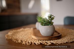 Texelcampings - Kogerstrand