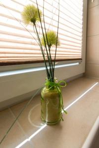 Ferienwohnung-Strandlilie