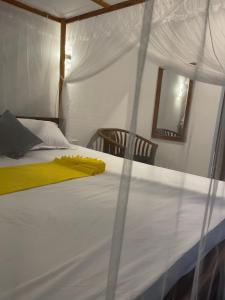 Amelia Rooms