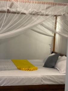Amelia Rooms
