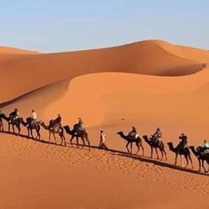 Sahara binich sercices