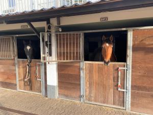 Luxury guesthouse - Eik bij de dijk