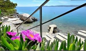 Family apartment for 5