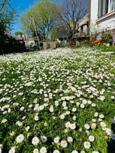 Liebevoll renovierte Altbauwohnung