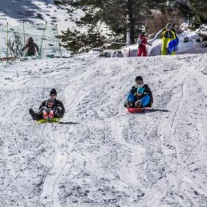 White Ventoux-central-parking gratuit-securise-terrasse & jardin