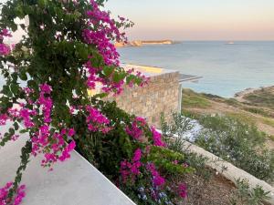 maison au bord de la mer Egée