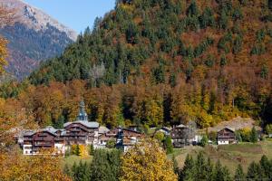 Chalets Coeur de Lion : photos des chambres