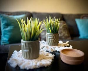 Sheikh Zayed Ground Floor Gem