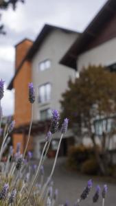 Hotel Gramado Interlaken