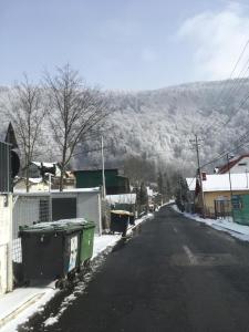 Splendid view Sinaia