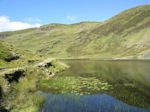 Cosy Quarrymans Cottage in Snowdonia