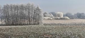 Apartamenty dla par Stara Szkoła