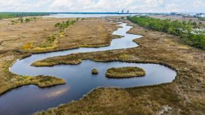 Bayou Sunrise 3202 Gulf Shores