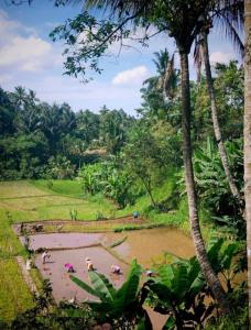 Forest Side Bungalow