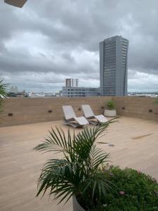 Apartamento 3F, Palm