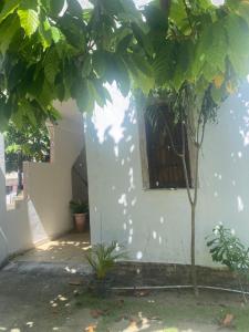 Oxe TonaBahia Tséra