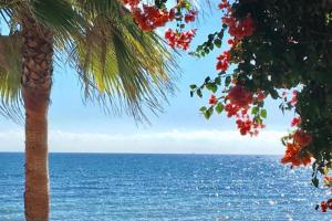 MI Capricho 700 beachfront apartment - Three bedrooms in La Cala de Mijas